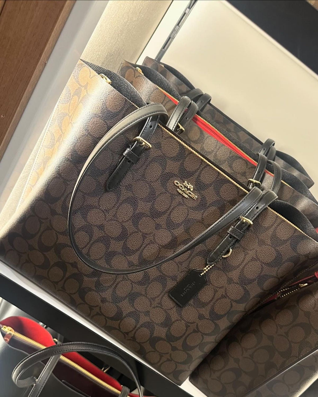 Coach mollie signature canvas