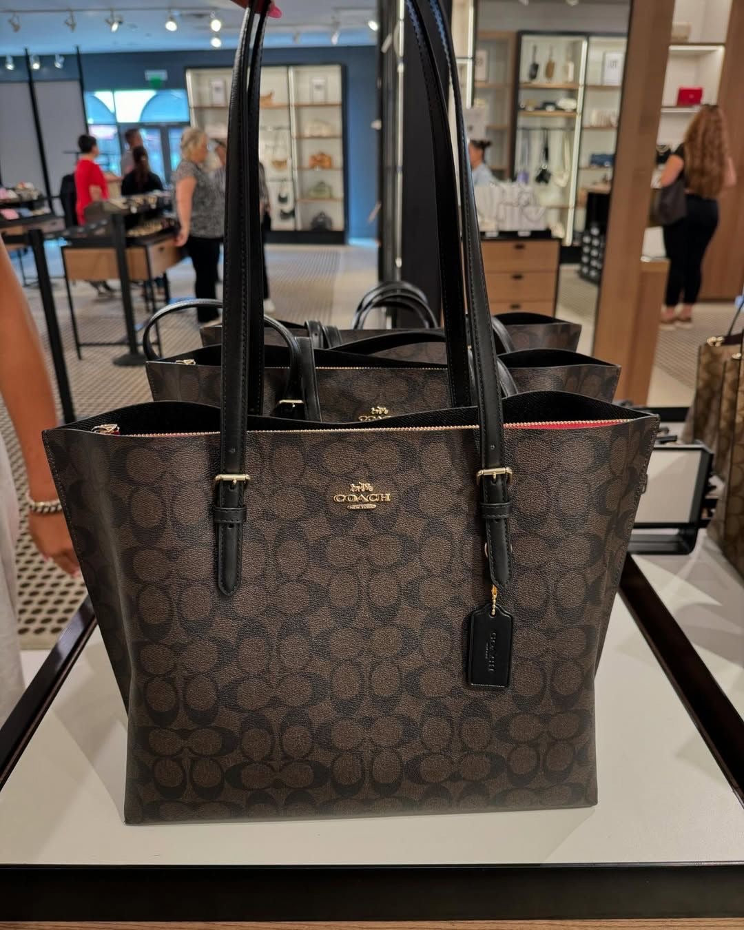 Coach mollie signature canvas