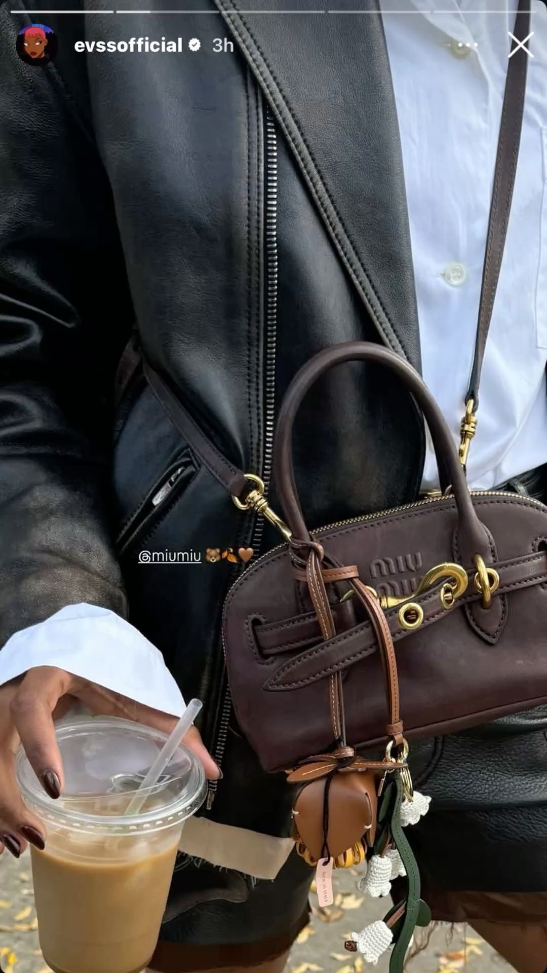 Miu Miu Aventure mini bag