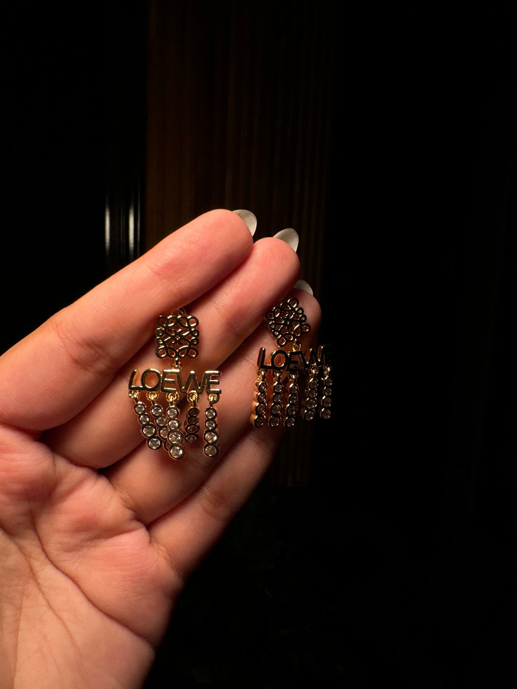 Loewe earrings