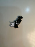 Pakistan 🇵🇰