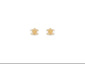 Celine Triomphe Studs in Brass with Rhodium Finish